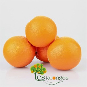 15Kg Navelines - Orangen (Unbagged)