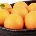 10 Kg Navelinas Oranges (without mesh, unbagged)