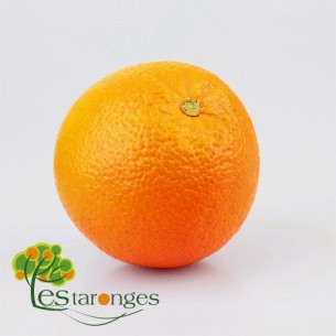 10 Kg Naranjas Variedad Navel (SIN MALLA) Pro