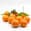 Mandarines Hernandines emmallades