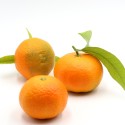 Mandarines Hernandines emmallades