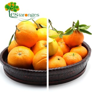 15Kg. Caja Mixta de Naranjas y Mandarinas (SIN ENMALLAR)