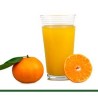 Naranjas Navel para ZUMO 15kg