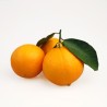 1 kg de Naranjas Nável