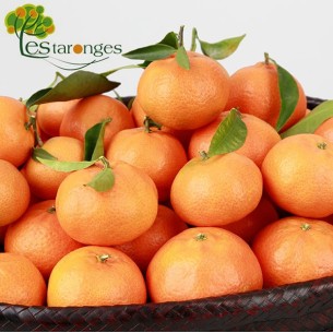 15Kg Mandarini Clementinas (Senza maglie)