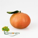 10Kg Tangerines Clementines (No mesh)