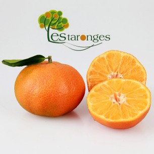 10Kg Mandarines Clémentines (Sans maille)